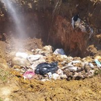 Mudanya'da karasineğin nedeni ihmal 