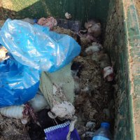 Mudanya'da karasineğin nedeni ihmal 