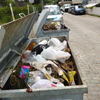 Mudanya'da karasineğin nedeni ihmal 