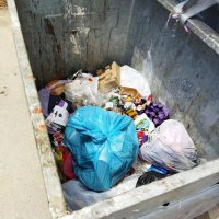 Mudanya'da karasineğin nedeni ihmal 