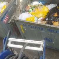 Mudanya'da karasineğin nedeni ihmal 