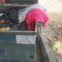 Mudanya'da karasineğin nedeni ihmal 