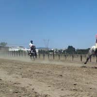 Rahvan at yarışları nefes kesti 