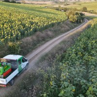 Büyükşehir’de ‘tırtıl’ seferberliği 