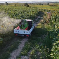 Büyükşehir’de ‘tırtıl’ seferberliği 