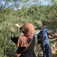 Arkeopark’ta çağlar öncesine yolculuk 