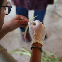 Arkeopark’ta çağlar öncesine yolculuk 