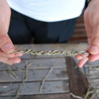 Arkeopark’ta çağlar öncesine yolculuk 