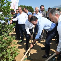 Çekirge Teras’ta ilk fidan toprakla buluştu 