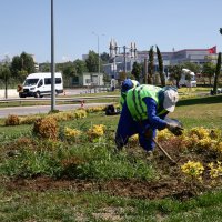 Bursa’nın yeşili estetikle buluşuyor 