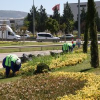 Bursa’nın yeşili estetikle buluşuyor 