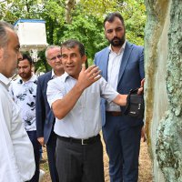 Asırlık çınarlar, ‘Çınar hekimleri’ ile güvende 