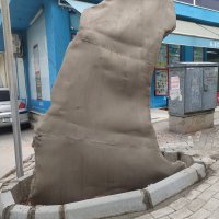 Asırlık çınarlar, ‘Çınar hekimleri’ ile güvende 