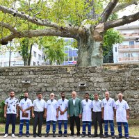 Asırlık çınarlar, ‘Çınar hekimleri’ ile güvende 
