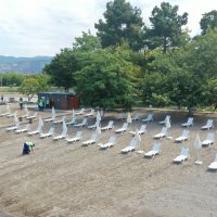  Mavi Bayrak, İznik’te dalgalanıyor 