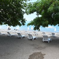  Mavi Bayrak, İznik’te dalgalanıyor 