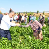 Tarlada serinleten ziyaret 