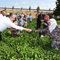 Tarlada serinleten ziyaret 