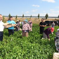 Tarlada serinleten ziyaret 