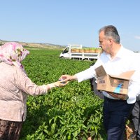 Tarlada serinleten ziyaret 