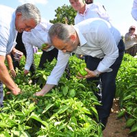Tarlada serinleten ziyaret 