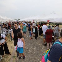 İnsanlık tarihine eğlenceli yolculuk 