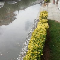 Mudanya’da selin yaraları sarılıyor 