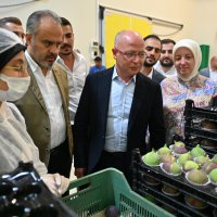 İncir üreticisine can suyu 