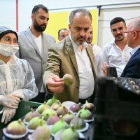 İncir üreticisine can suyu 