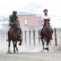 Rahvan atlar zafere koştu 