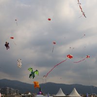 Zafer coşkusu göklere yansıdı 