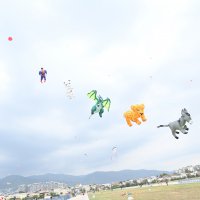 Zafer coşkusu göklere yansıdı 