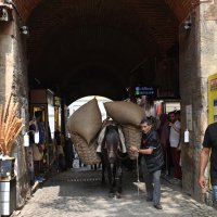 İpeksi festival koza alımıyla başladı 