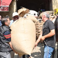 İpeksi festival koza alımıyla başladı 