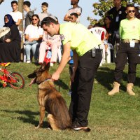 Turizmin en doğal hali 