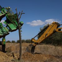 Yolda kalan ağaçlar taşınıyor 