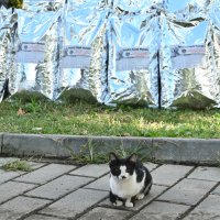 Hayat birlikte daha güzel 