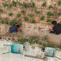 Büyükşehir’den nefes aldıracak çalışma 