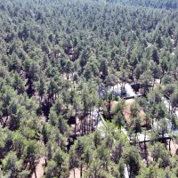 Bursa’da eko-turizm hamlesi sürüyor 