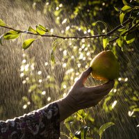 Objektife yansıyan Bursa lezzetleri 