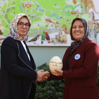 Hayvanat Bahçesi 24 yaşında 