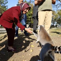 Hayvanat Bahçesi 24 yaşında 