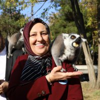 Hayvanat Bahçesi 24 yaşında 