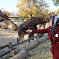 Hayvanat Bahçesi 24 yaşında 