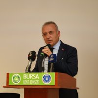 Kadına şiddetin medyaya yansımaları 