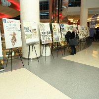 Macar tarihine ışık tutan sergi 