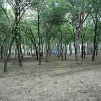 Çamlık Parkı Emek’e yakıştı 