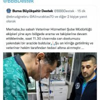 Hayvansever uyardı, Büyükşehir kurtardı 