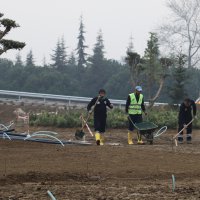 Adliye Kavşağı’nda trafik yolunda 