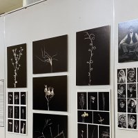 BursaFotoFest, kapılarını 12'nci kez açtı 